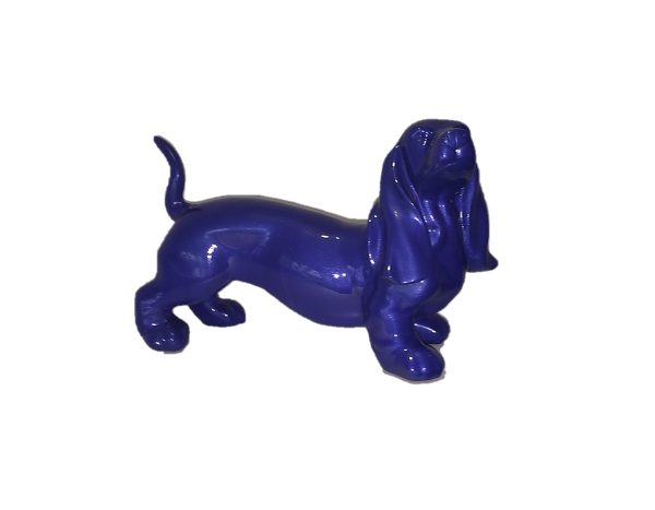 Perro Salchicha 4